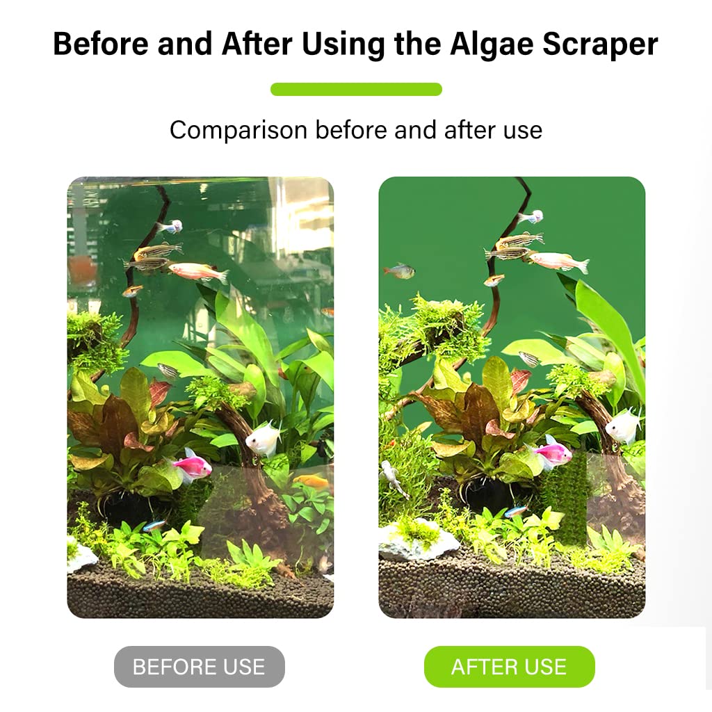 Qpets 22inch Aquarium Algae Scraper Set with 1 pcs Algae Removing Scraper and 5 Replace Scraper Blades, Glass Scraper, Fish Tank Cleaner, Detachable to Adjust Length Qpets 22inch Aquarium Algae Scraper Set with 1 pcs Algae Removing Scraper and 5 Replace Scraper Blades, Glass Scraper, Fish Tank Cleaner, Detachable to Adjust Length